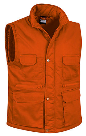 REPORTER NARANJA FIESTA