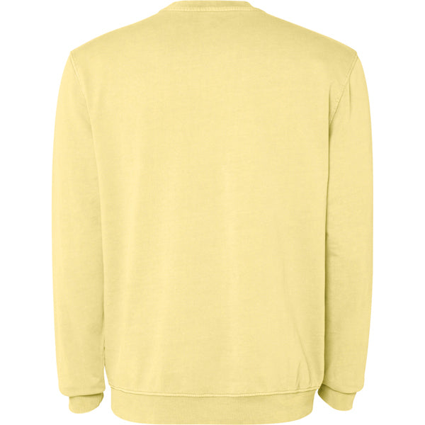 JAYA 2203 · AMARILLO SWEET LAVADO · Detrás